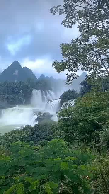 逗小猴开心系列210