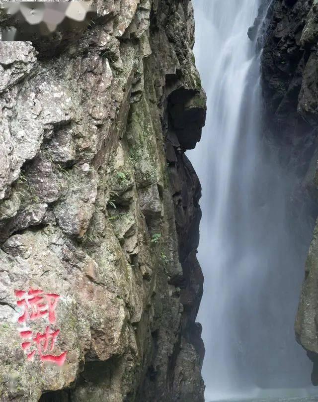 东风日产探陆开启预售,提供6座/7座